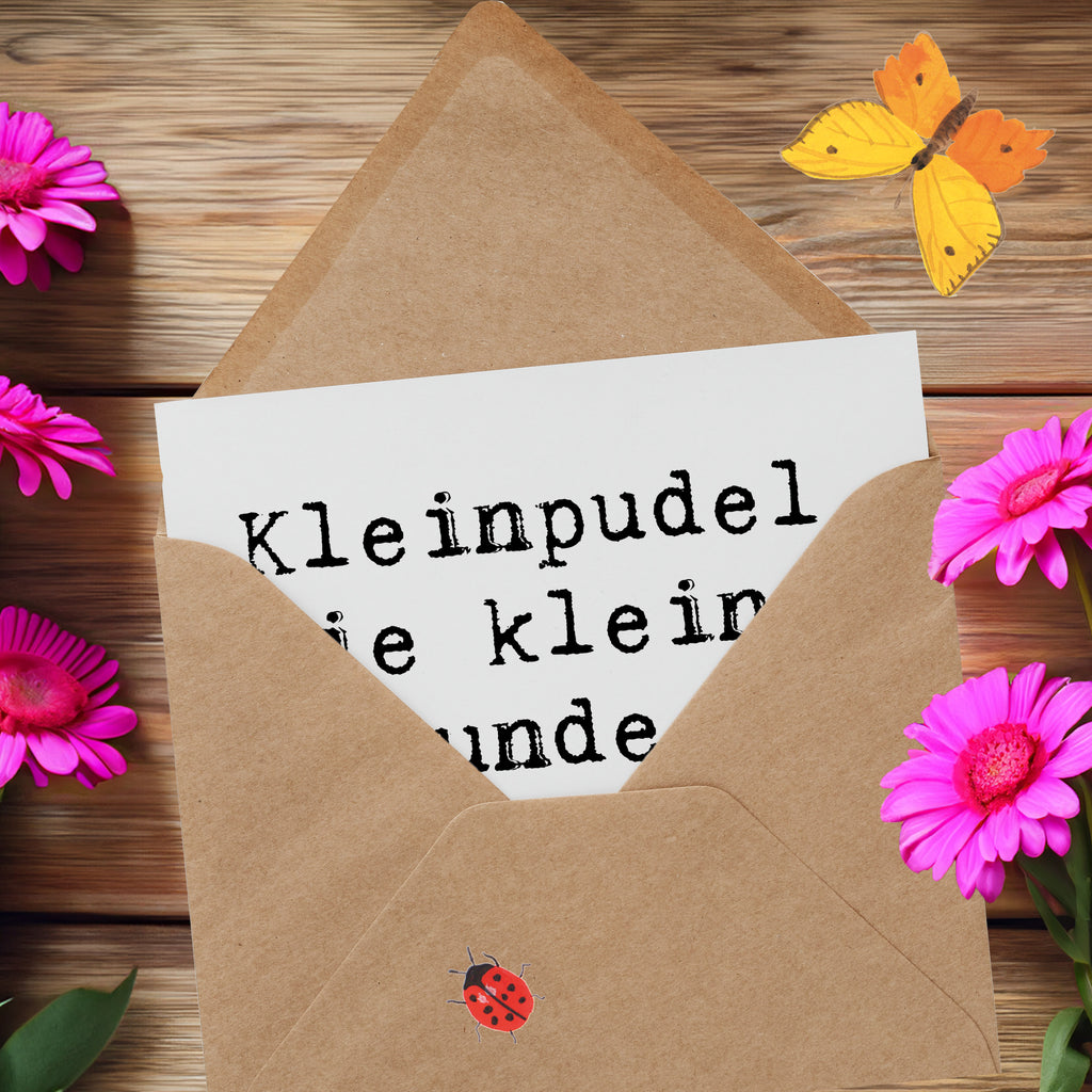 Deluxe Karte Spruch Kleinpudel Liebe Karte, Grußkarte, Klappkarte, Einladungskarte, Glückwunschkarte, Hochzeitskarte, Geburtstagskarte, Hochwertige Grußkarte, Hochwertige Klappkarte, Hund, Hunderasse, Rassehund, Hundebesitzer, Geschenk, Tierfreund, Schenken, Welpe