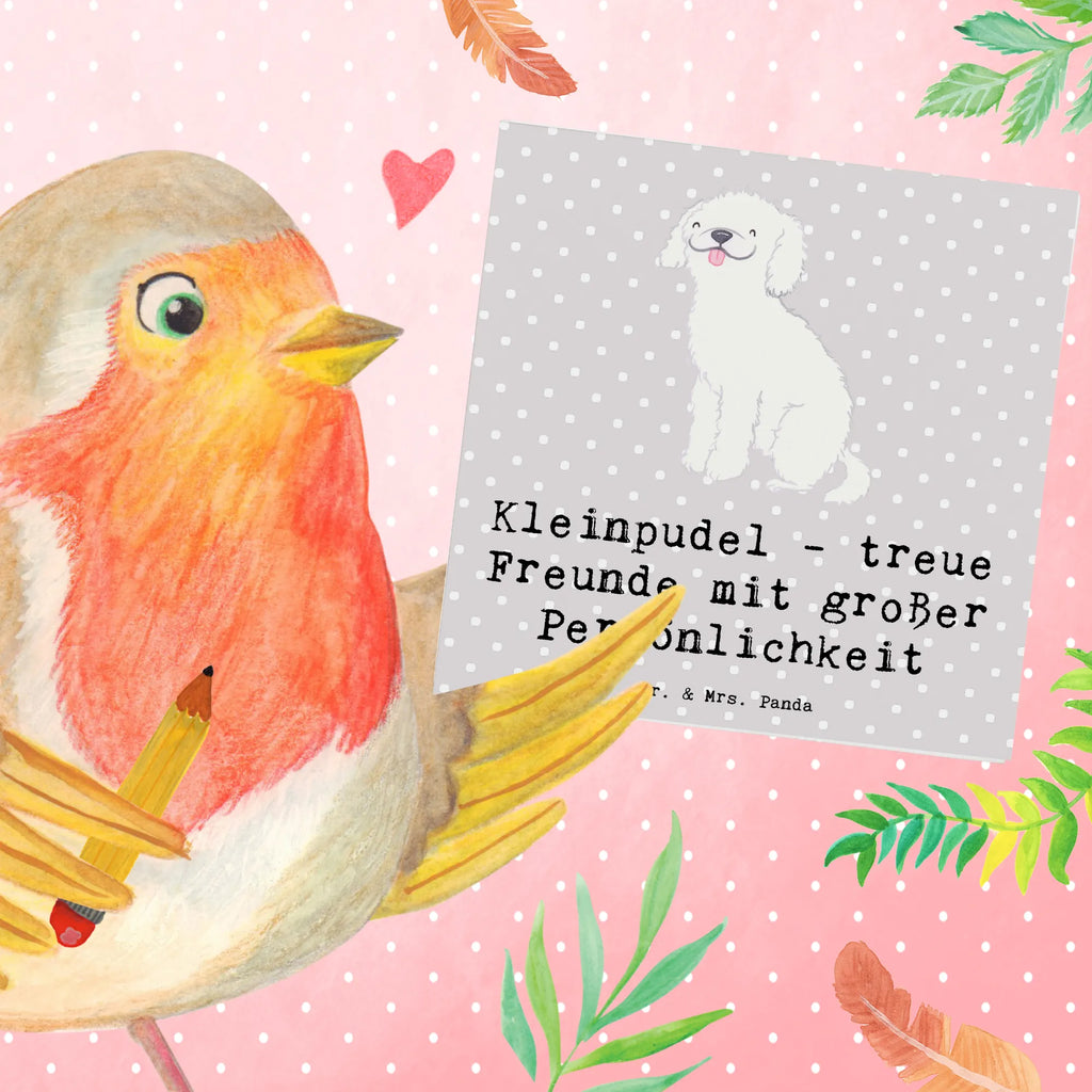 Deluxe Karte Kleinpudel Freunde Karte, Grußkarte, Klappkarte, Einladungskarte, Glückwunschkarte, Hochzeitskarte, Geburtstagskarte, Hochwertige Grußkarte, Hochwertige Klappkarte, Hund, Hunderasse, Rassehund, Hundebesitzer, Geschenk, Tierfreund, Schenken, Welpe