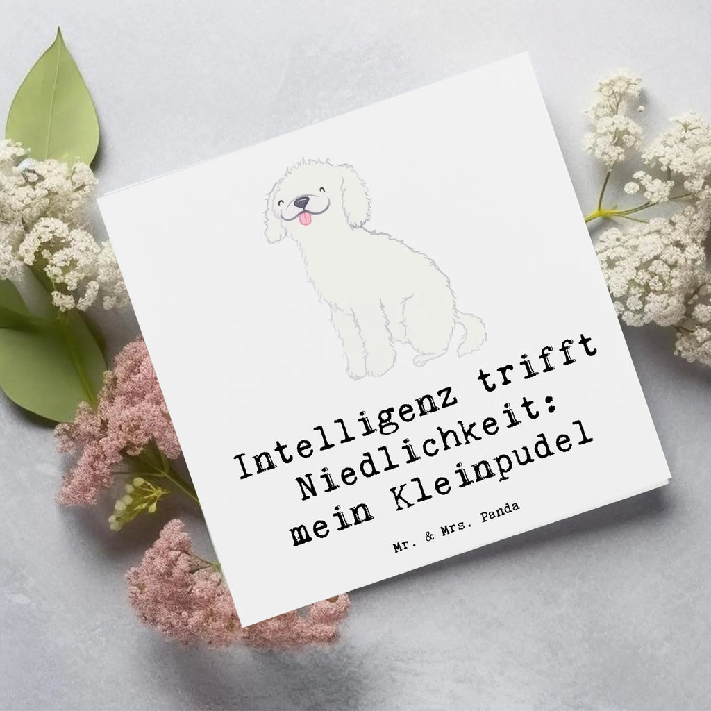 Deluxe Karte Niedlicher Kleinpudel Karte, Grußkarte, Klappkarte, Einladungskarte, Glückwunschkarte, Hochzeitskarte, Geburtstagskarte, Hochwertige Grußkarte, Hochwertige Klappkarte, Hund, Hunderasse, Rassehund, Hundebesitzer, Geschenk, Tierfreund, Schenken, Welpe