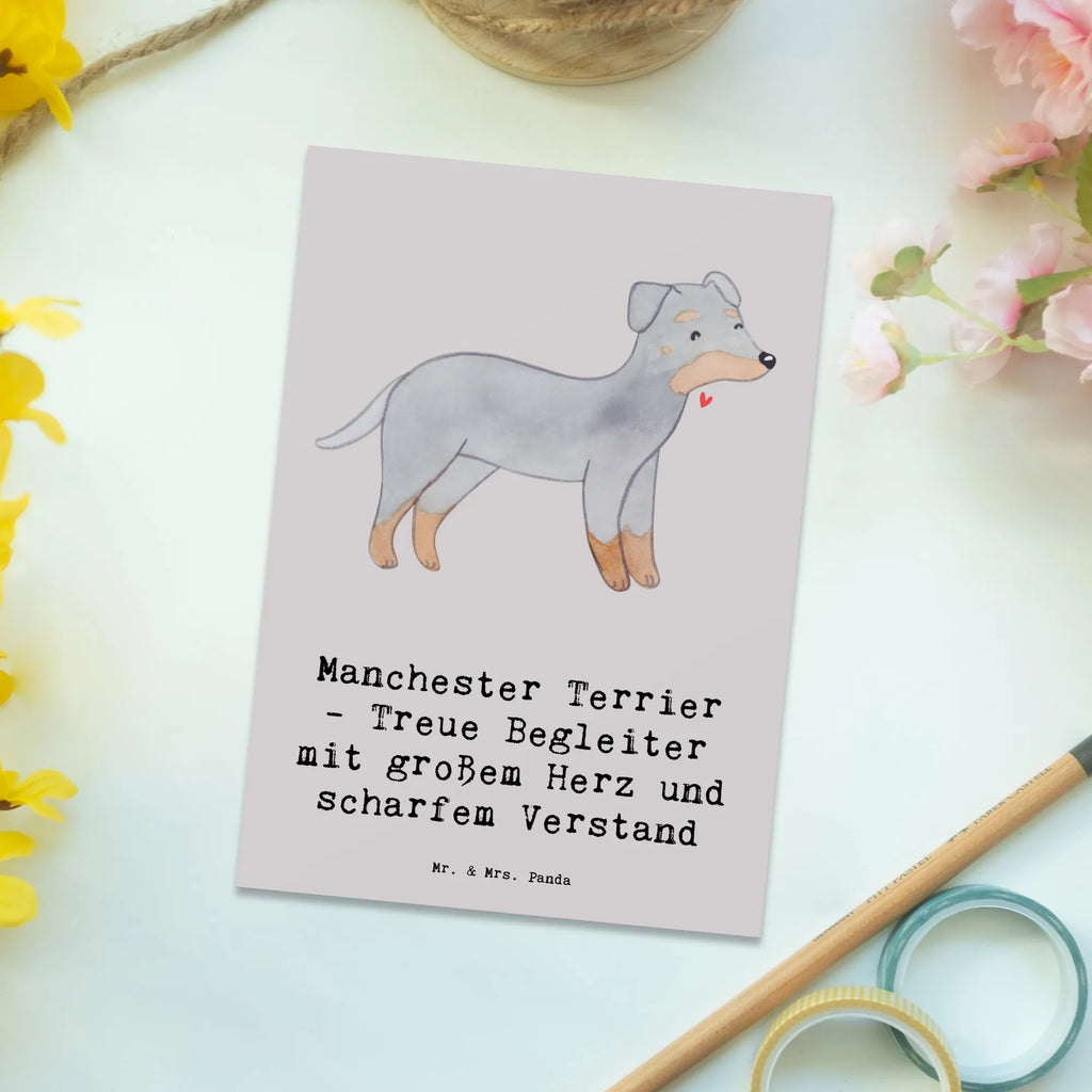 Postkarte Manchester Terrier Begleiter Postkarte, Karte, Geschenkkarte, Grußkarte, Einladung, Ansichtskarte, Geburtstagskarte, Einladungskarte, Dankeskarte, Ansichtskarten, Einladung Geburtstag, Einladungskarten Geburtstag, Hund, Hunderasse, Rassehund, Hundebesitzer, Geschenk, Tierfreund, Schenken, Welpe