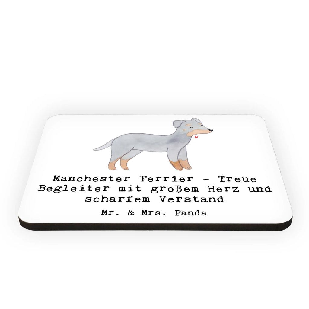 Magnet Manchester Terrier Begleiter Kühlschrankmagnet, Pinnwandmagnet, Souvenir Magnet, Motivmagnete, Dekomagnet, Whiteboard Magnet, Notiz Magnet, Kühlschrank Dekoration, Hund, Hunderasse, Rassehund, Hundebesitzer, Geschenk, Tierfreund, Schenken, Welpe