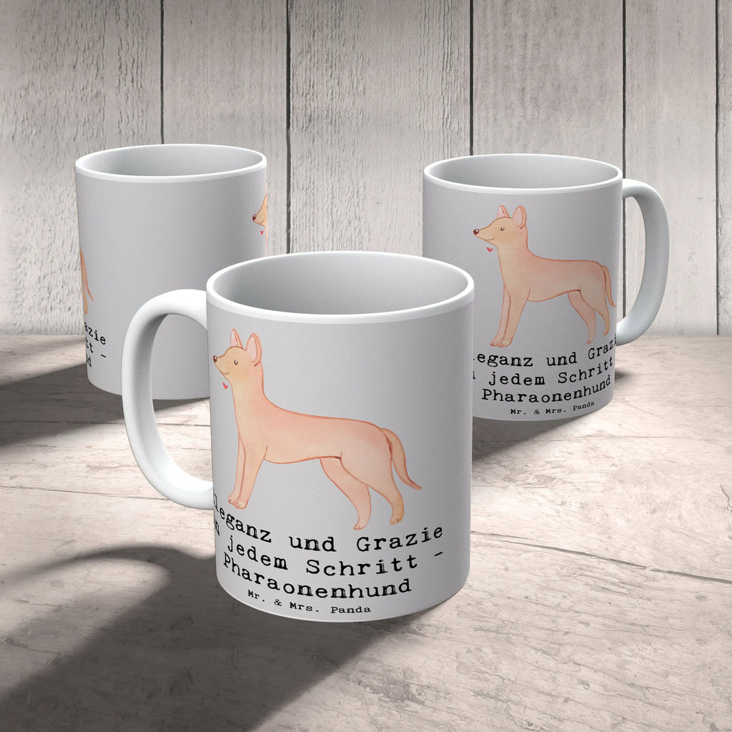 Tasse Eleganter Pharaonenhund Tasse, Kaffeetasse, Teetasse, Becher, Kaffeebecher, Teebecher, Keramiktasse, Porzellantasse, Büro Tasse, Geschenk Tasse, Tasse Sprüche, Tasse Motive, Kaffeetassen, Tasse bedrucken, Designer Tasse, Cappuccino Tassen, Schöne Teetassen, Hund, Hunderasse, Rassehund, Hundebesitzer, Geschenk, Tierfreund, Schenken, Welpe