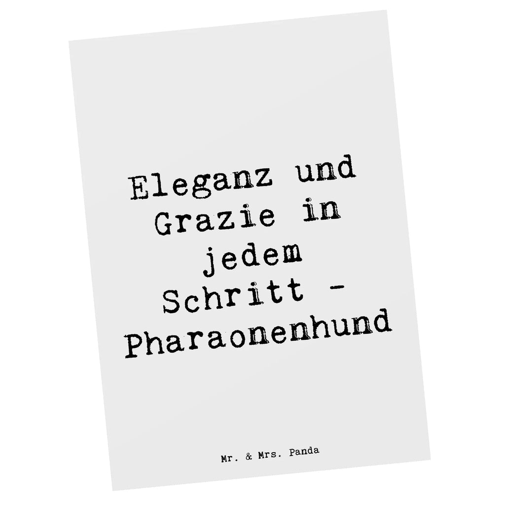 Postkarte Spruch Eleganter Pharaonenhund Postkarte, Karte, Geschenkkarte, Grußkarte, Einladung, Ansichtskarte, Geburtstagskarte, Einladungskarte, Dankeskarte, Ansichtskarten, Einladung Geburtstag, Einladungskarten Geburtstag, Hund, Hunderasse, Rassehund, Hundebesitzer, Geschenk, Tierfreund, Schenken, Welpe