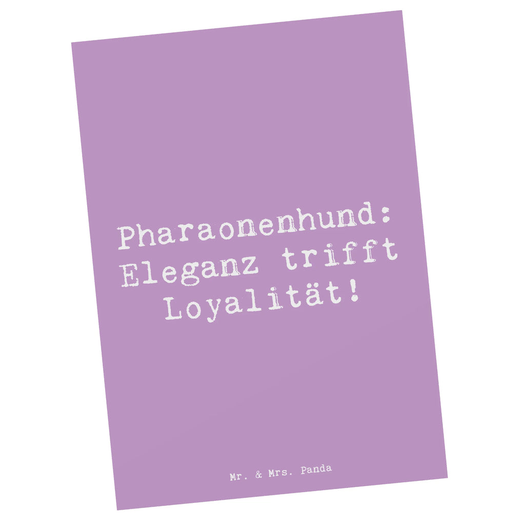 Postkarte Spruch Pharaonenhund Eleganz Postkarte, Karte, Geschenkkarte, Grußkarte, Einladung, Ansichtskarte, Geburtstagskarte, Einladungskarte, Dankeskarte, Ansichtskarten, Einladung Geburtstag, Einladungskarten Geburtstag, Hund, Hunderasse, Rassehund, Hundebesitzer, Geschenk, Tierfreund, Schenken, Welpe