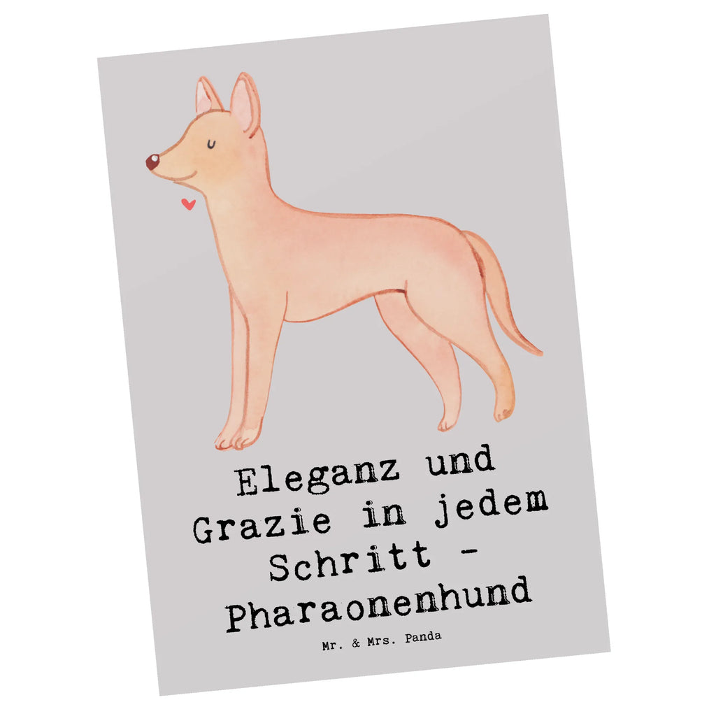 Postkarte Eleganter Pharaonenhund Postkarte, Karte, Geschenkkarte, Grußkarte, Einladung, Ansichtskarte, Geburtstagskarte, Einladungskarte, Dankeskarte, Ansichtskarten, Einladung Geburtstag, Einladungskarten Geburtstag, Hund, Hunderasse, Rassehund, Hundebesitzer, Geschenk, Tierfreund, Schenken, Welpe