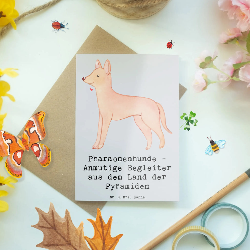 Grußkarte Pharaonenhund Freunde Grußkarte, Klappkarte, Einladungskarte, Glückwunschkarte, Hochzeitskarte, Geburtstagskarte, Karte, Ansichtskarten, Hund, Hunderasse, Rassehund, Hundebesitzer, Geschenk, Tierfreund, Schenken, Welpe