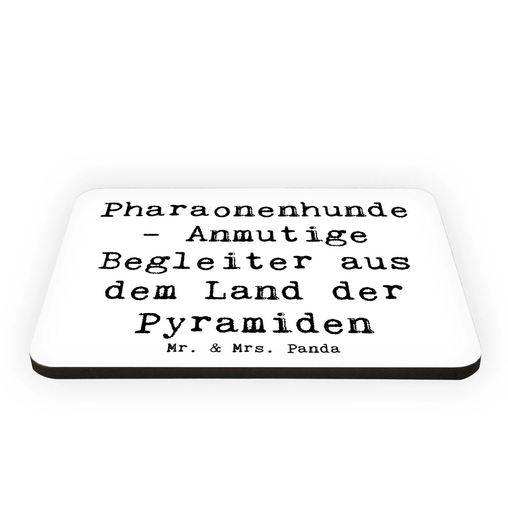 Magnet Spruch Pharaonenhund Freunde Kühlschrankmagnet, Pinnwandmagnet, Souvenir Magnet, Motivmagnete, Dekomagnet, Whiteboard Magnet, Notiz Magnet, Kühlschrank Dekoration, Hund, Hunderasse, Rassehund, Hundebesitzer, Geschenk, Tierfreund, Schenken, Welpe