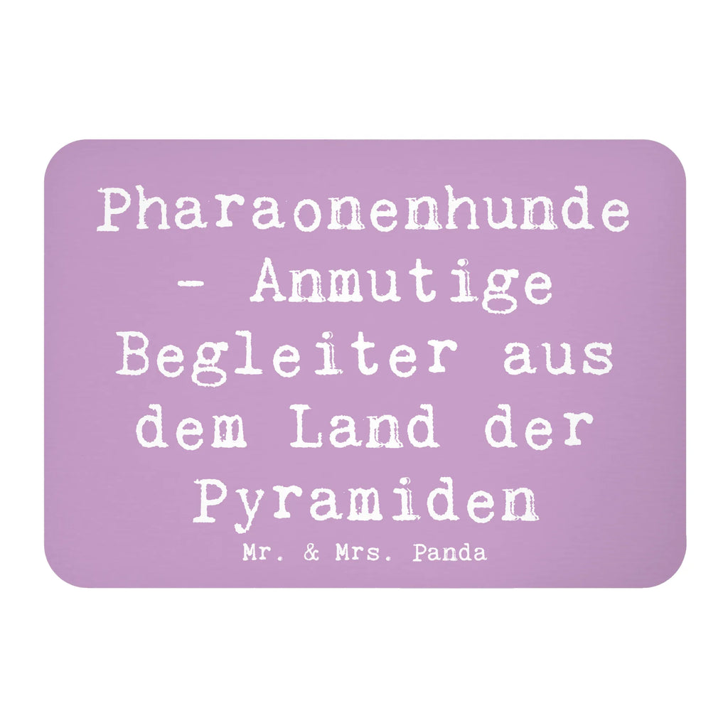 Magnet Spruch Pharaonenhund Freunde Kühlschrankmagnet, Pinnwandmagnet, Souvenir Magnet, Motivmagnete, Dekomagnet, Whiteboard Magnet, Notiz Magnet, Kühlschrank Dekoration, Hund, Hunderasse, Rassehund, Hundebesitzer, Geschenk, Tierfreund, Schenken, Welpe