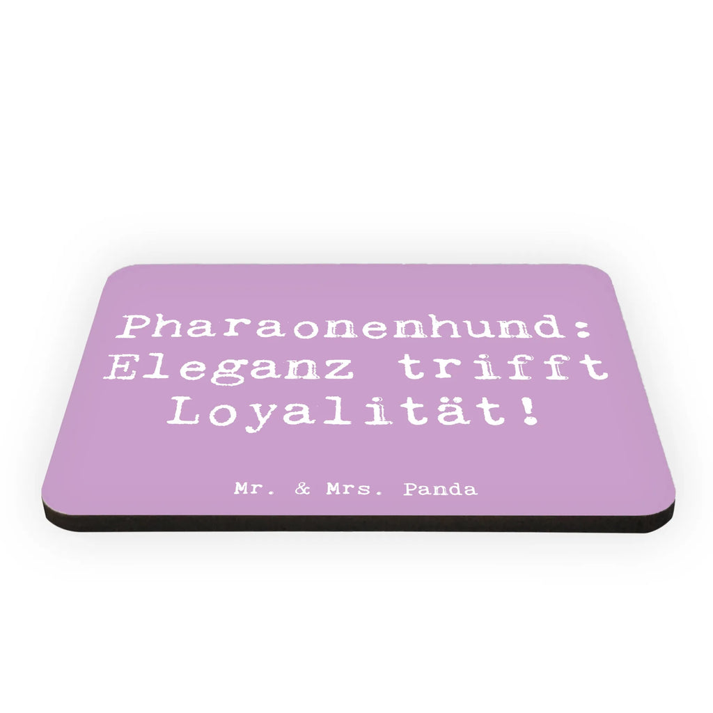 Magnet Spruch Pharaonenhund Eleganz Kühlschrankmagnet, Pinnwandmagnet, Souvenir Magnet, Motivmagnete, Dekomagnet, Whiteboard Magnet, Notiz Magnet, Kühlschrank Dekoration, Hund, Hunderasse, Rassehund, Hundebesitzer, Geschenk, Tierfreund, Schenken, Welpe