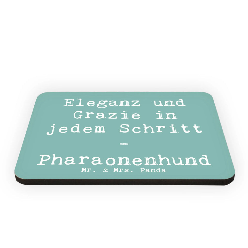 Magnet Spruch Eleganter Pharaonenhund Kühlschrankmagnet, Pinnwandmagnet, Souvenir Magnet, Motivmagnete, Dekomagnet, Whiteboard Magnet, Notiz Magnet, Kühlschrank Dekoration, Hund, Hunderasse, Rassehund, Hundebesitzer, Geschenk, Tierfreund, Schenken, Welpe