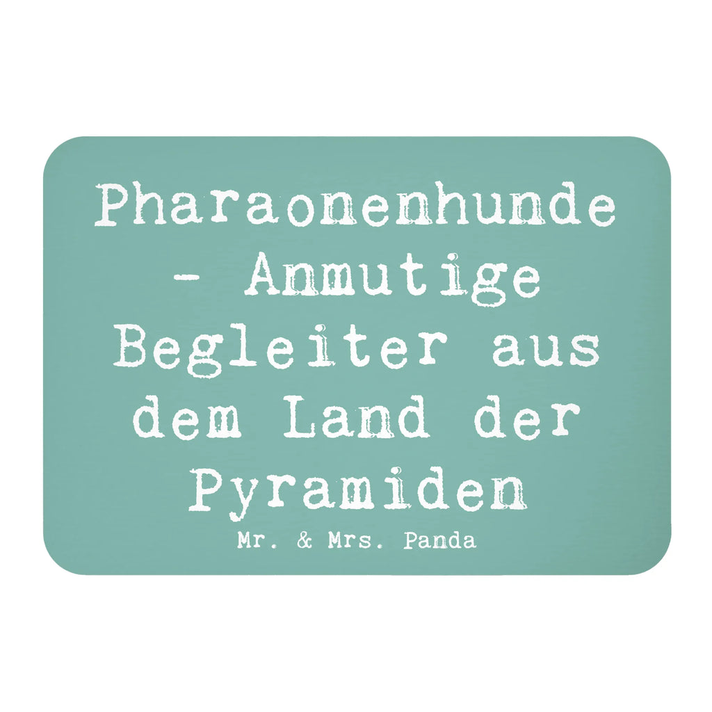 Magnet Spruch Pharaonenhund Freunde Kühlschrankmagnet, Pinnwandmagnet, Souvenir Magnet, Motivmagnete, Dekomagnet, Whiteboard Magnet, Notiz Magnet, Kühlschrank Dekoration, Hund, Hunderasse, Rassehund, Hundebesitzer, Geschenk, Tierfreund, Schenken, Welpe