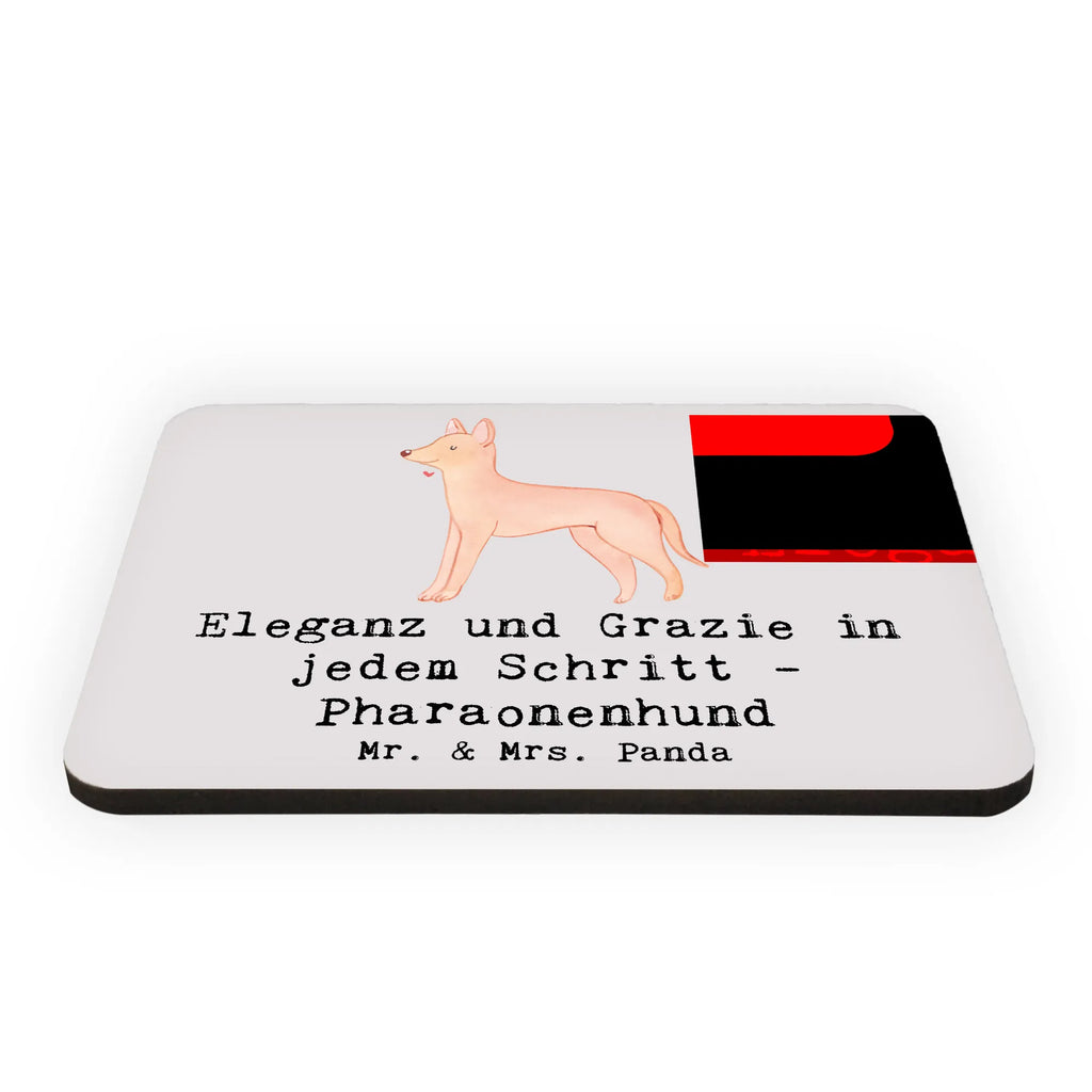 Magnet Eleganter Pharaonenhund Kühlschrankmagnet, Pinnwandmagnet, Souvenir Magnet, Motivmagnete, Dekomagnet, Whiteboard Magnet, Notiz Magnet, Kühlschrank Dekoration, Hund, Hunderasse, Rassehund, Hundebesitzer, Geschenk, Tierfreund, Schenken, Welpe