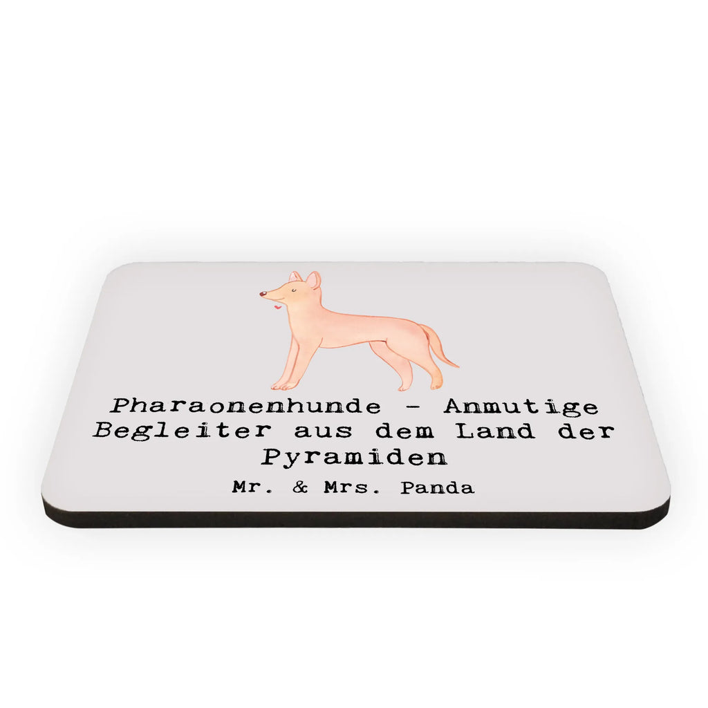 Magnet Pharaonenhund Freunde Kühlschrankmagnet, Pinnwandmagnet, Souvenir Magnet, Motivmagnete, Dekomagnet, Whiteboard Magnet, Notiz Magnet, Kühlschrank Dekoration, Hund, Hunderasse, Rassehund, Hundebesitzer, Geschenk, Tierfreund, Schenken, Welpe