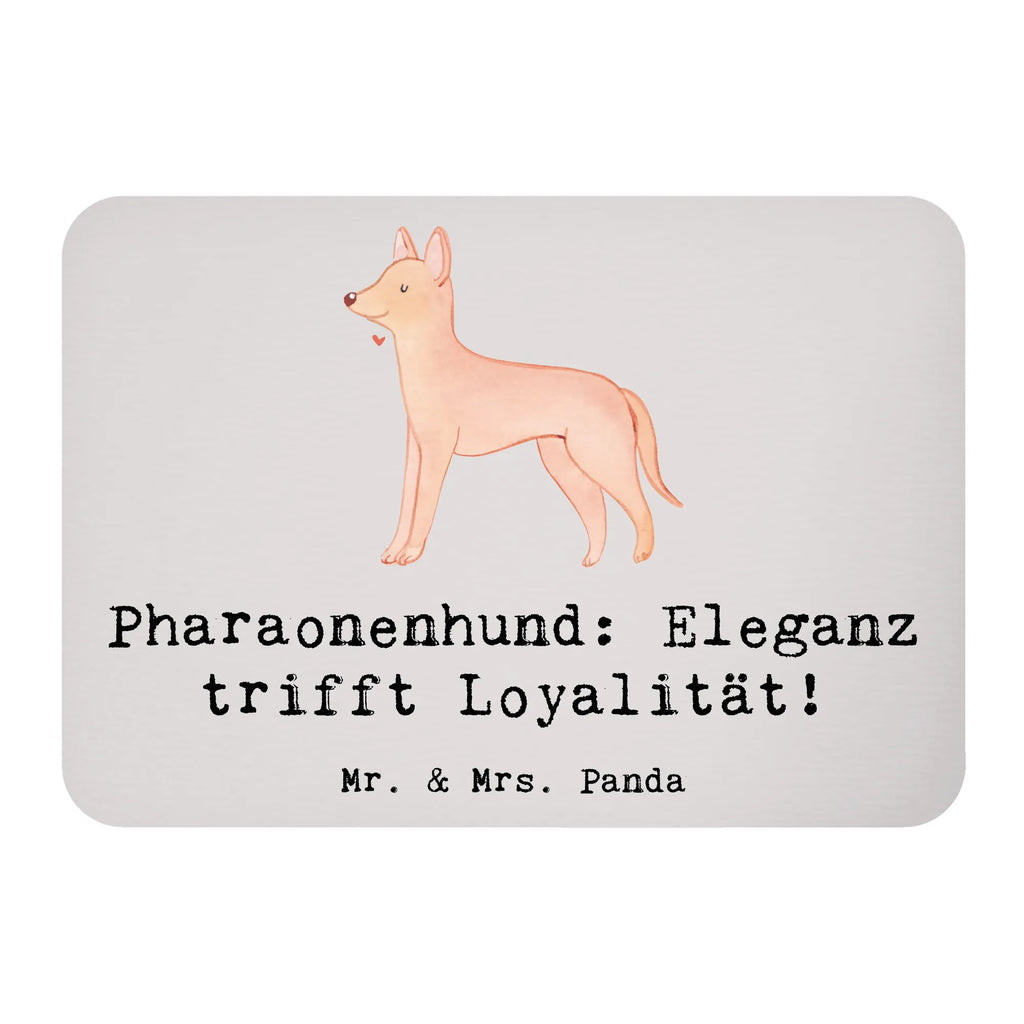 Magnet Pharaonenhund Eleganz Kühlschrankmagnet, Pinnwandmagnet, Souvenir Magnet, Motivmagnete, Dekomagnet, Whiteboard Magnet, Notiz Magnet, Kühlschrank Dekoration, Hund, Hunderasse, Rassehund, Hundebesitzer, Geschenk, Tierfreund, Schenken, Welpe