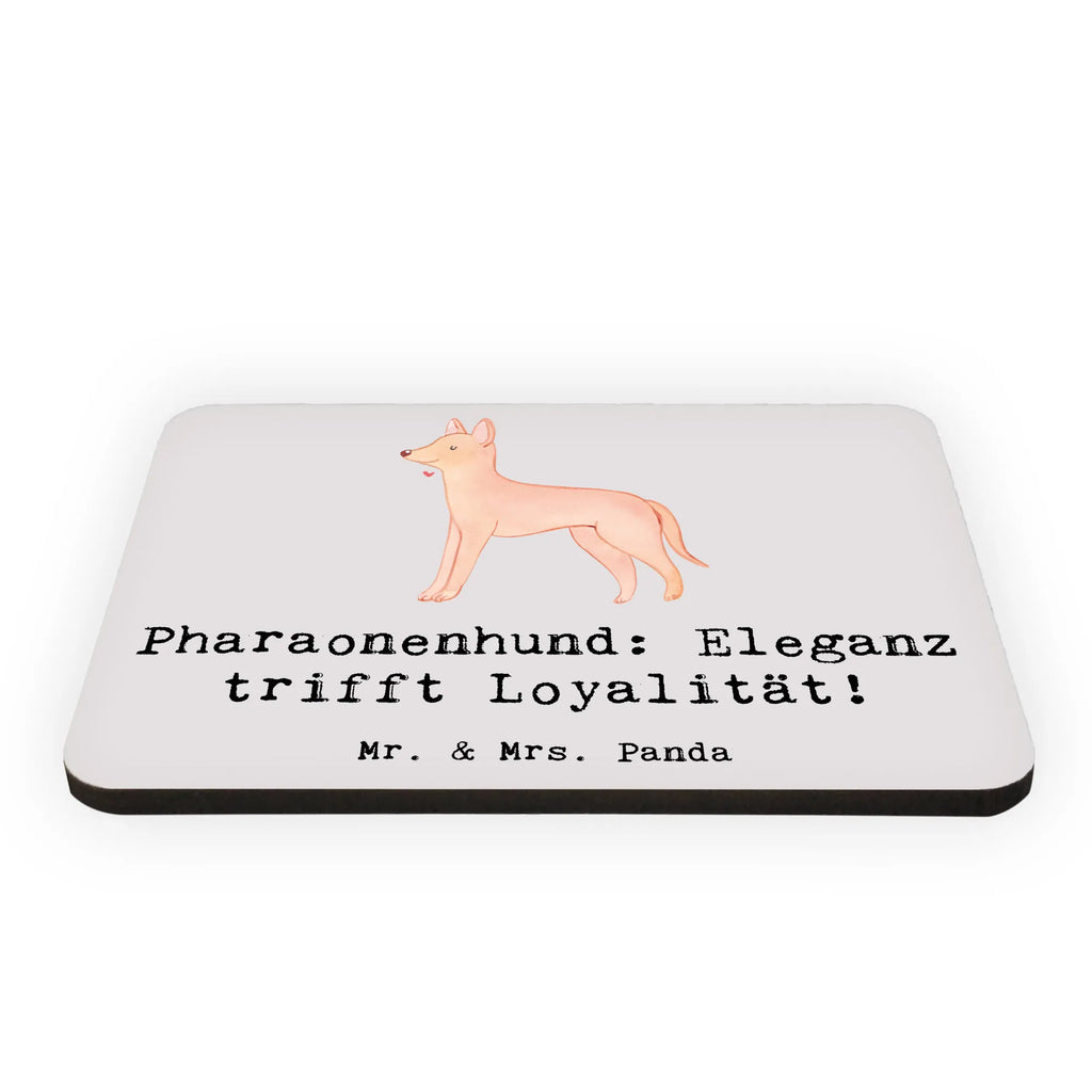 Magnet Pharaonenhund Eleganz Kühlschrankmagnet, Pinnwandmagnet, Souvenir Magnet, Motivmagnete, Dekomagnet, Whiteboard Magnet, Notiz Magnet, Kühlschrank Dekoration, Hund, Hunderasse, Rassehund, Hundebesitzer, Geschenk, Tierfreund, Schenken, Welpe