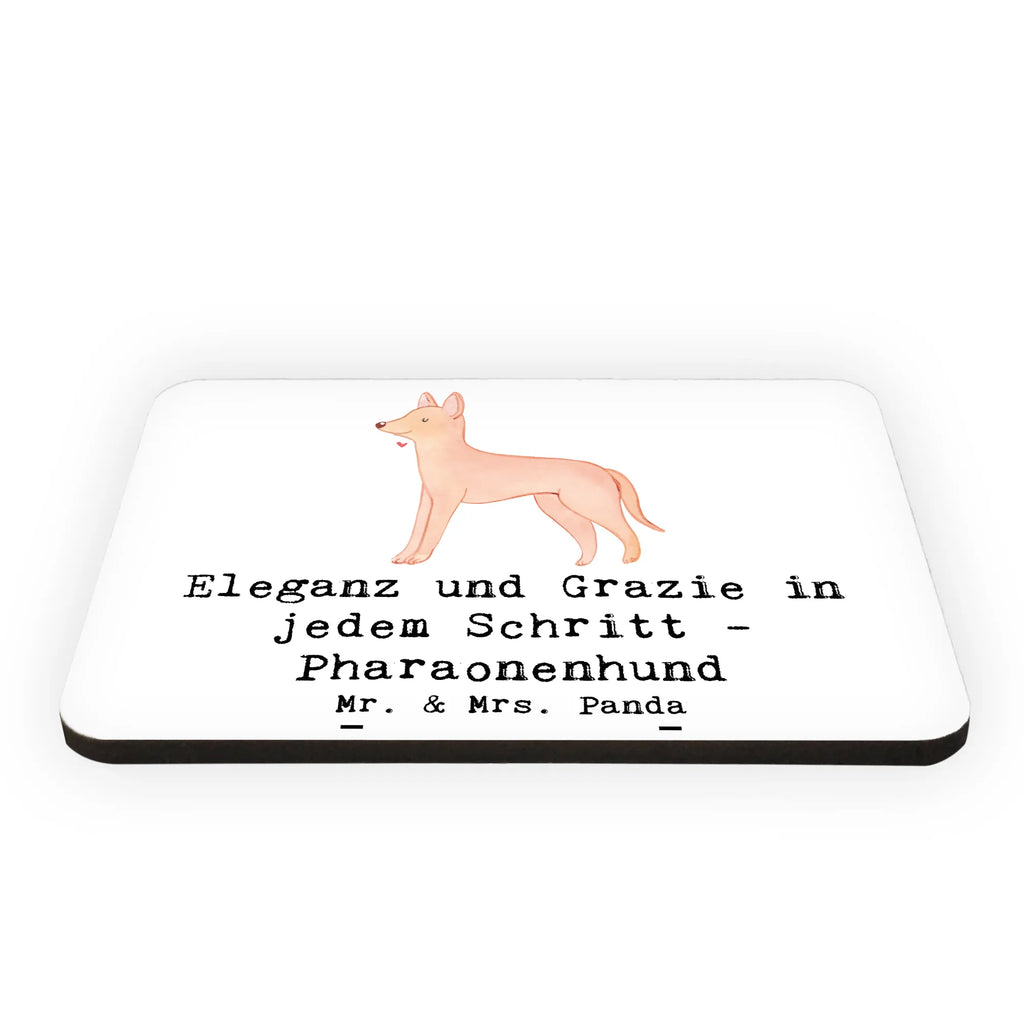 Magnet Eleganter Pharaonenhund Kühlschrankmagnet, Pinnwandmagnet, Souvenir Magnet, Motivmagnete, Dekomagnet, Whiteboard Magnet, Notiz Magnet, Kühlschrank Dekoration, Hund, Hunderasse, Rassehund, Hundebesitzer, Geschenk, Tierfreund, Schenken, Welpe