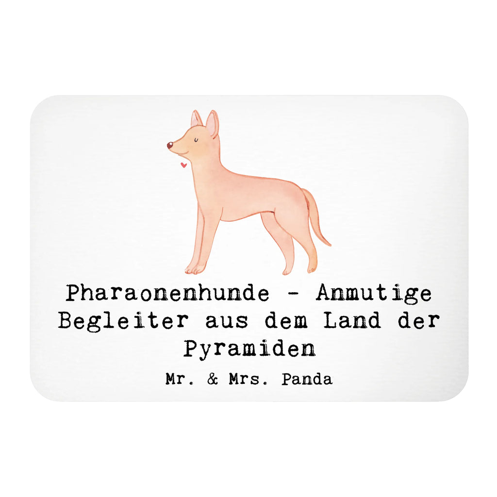 Magnet Pharaonenhund Freunde Kühlschrankmagnet, Pinnwandmagnet, Souvenir Magnet, Motivmagnete, Dekomagnet, Whiteboard Magnet, Notiz Magnet, Kühlschrank Dekoration, Hund, Hunderasse, Rassehund, Hundebesitzer, Geschenk, Tierfreund, Schenken, Welpe