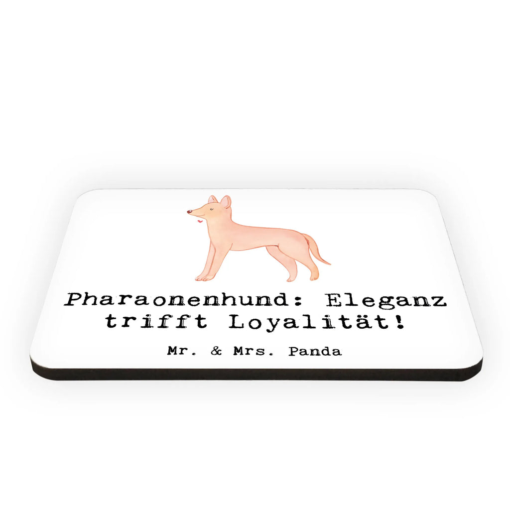 Magnet Pharaonenhund Eleganz Kühlschrankmagnet, Pinnwandmagnet, Souvenir Magnet, Motivmagnete, Dekomagnet, Whiteboard Magnet, Notiz Magnet, Kühlschrank Dekoration, Hund, Hunderasse, Rassehund, Hundebesitzer, Geschenk, Tierfreund, Schenken, Welpe