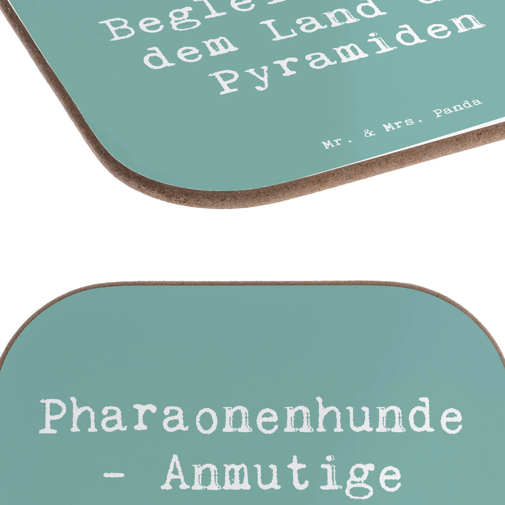 Untersetzer Spruch Pharaonenhund Freunde Untersetzer, Bierdeckel, Glasuntersetzer, Untersetzer Gläser, Getränkeuntersetzer, Untersetzer aus Holz, Untersetzer für Gläser, Korkuntersetzer, Untersetzer Holz, Holzuntersetzer, Tassen Untersetzer, Untersetzer Design, Hund, Hunderasse, Rassehund, Hundebesitzer, Geschenk, Tierfreund, Schenken, Welpe