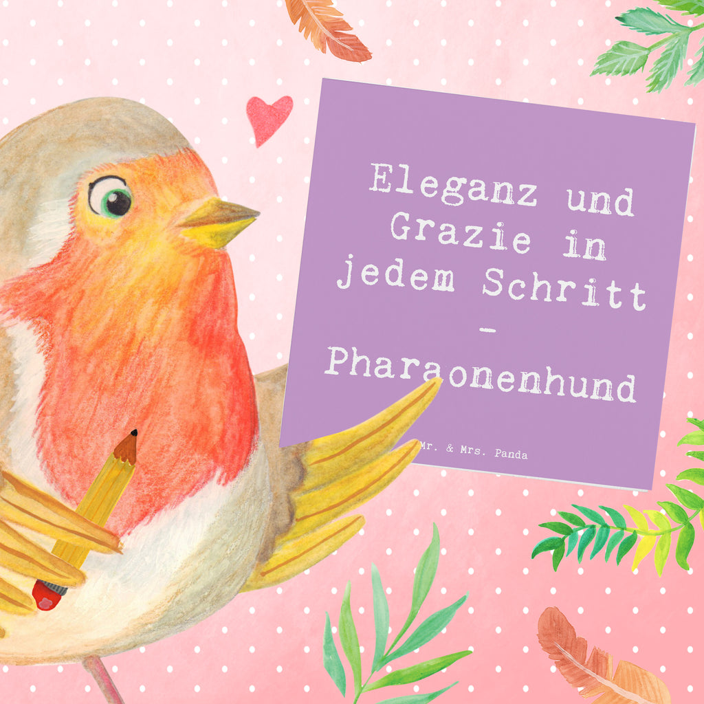 Deluxe Karte Spruch Eleganter Pharaonenhund Karte, Grußkarte, Klappkarte, Einladungskarte, Glückwunschkarte, Hochzeitskarte, Geburtstagskarte, Hochwertige Grußkarte, Hochwertige Klappkarte, Hund, Hunderasse, Rassehund, Hundebesitzer, Geschenk, Tierfreund, Schenken, Welpe