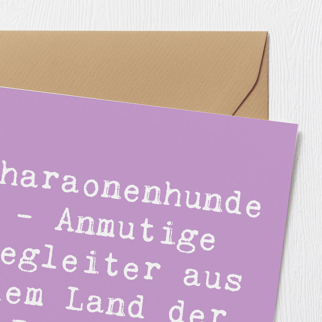 Deluxe Karte Spruch Pharaonenhund Freunde Karte, Grußkarte, Klappkarte, Einladungskarte, Glückwunschkarte, Hochzeitskarte, Geburtstagskarte, Hochwertige Grußkarte, Hochwertige Klappkarte, Hund, Hunderasse, Rassehund, Hundebesitzer, Geschenk, Tierfreund, Schenken, Welpe