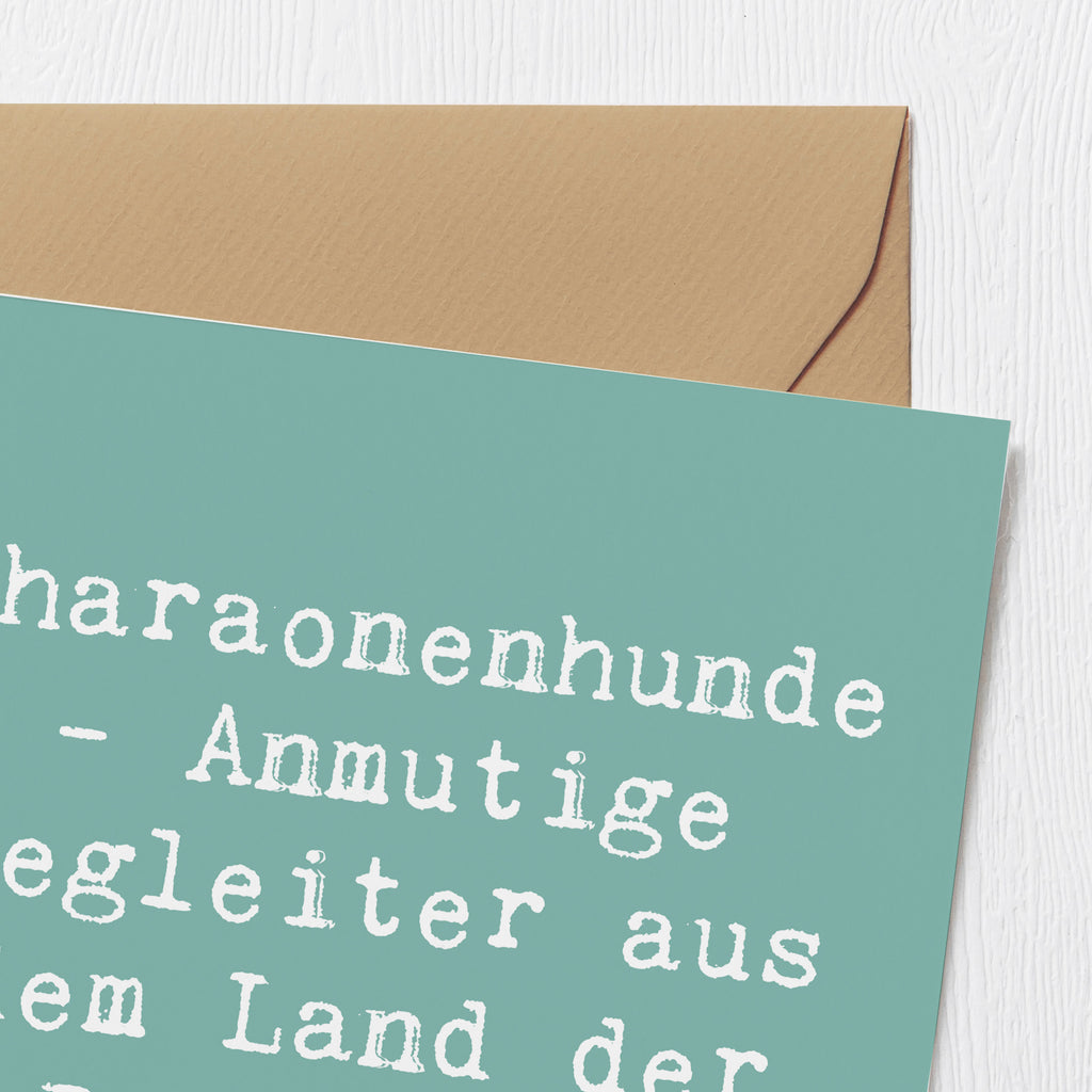 Deluxe Karte Spruch Pharaonenhund Freunde Karte, Grußkarte, Klappkarte, Einladungskarte, Glückwunschkarte, Hochzeitskarte, Geburtstagskarte, Hochwertige Grußkarte, Hochwertige Klappkarte, Hund, Hunderasse, Rassehund, Hundebesitzer, Geschenk, Tierfreund, Schenken, Welpe