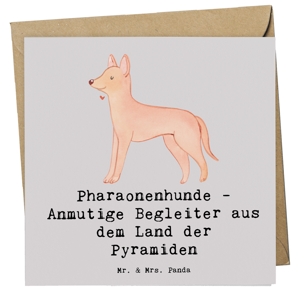 Deluxe Karte Pharaonenhund Freunde Karte, Grußkarte, Klappkarte, Einladungskarte, Glückwunschkarte, Hochzeitskarte, Geburtstagskarte, Hochwertige Grußkarte, Hochwertige Klappkarte, Hund, Hunderasse, Rassehund, Hundebesitzer, Geschenk, Tierfreund, Schenken, Welpe