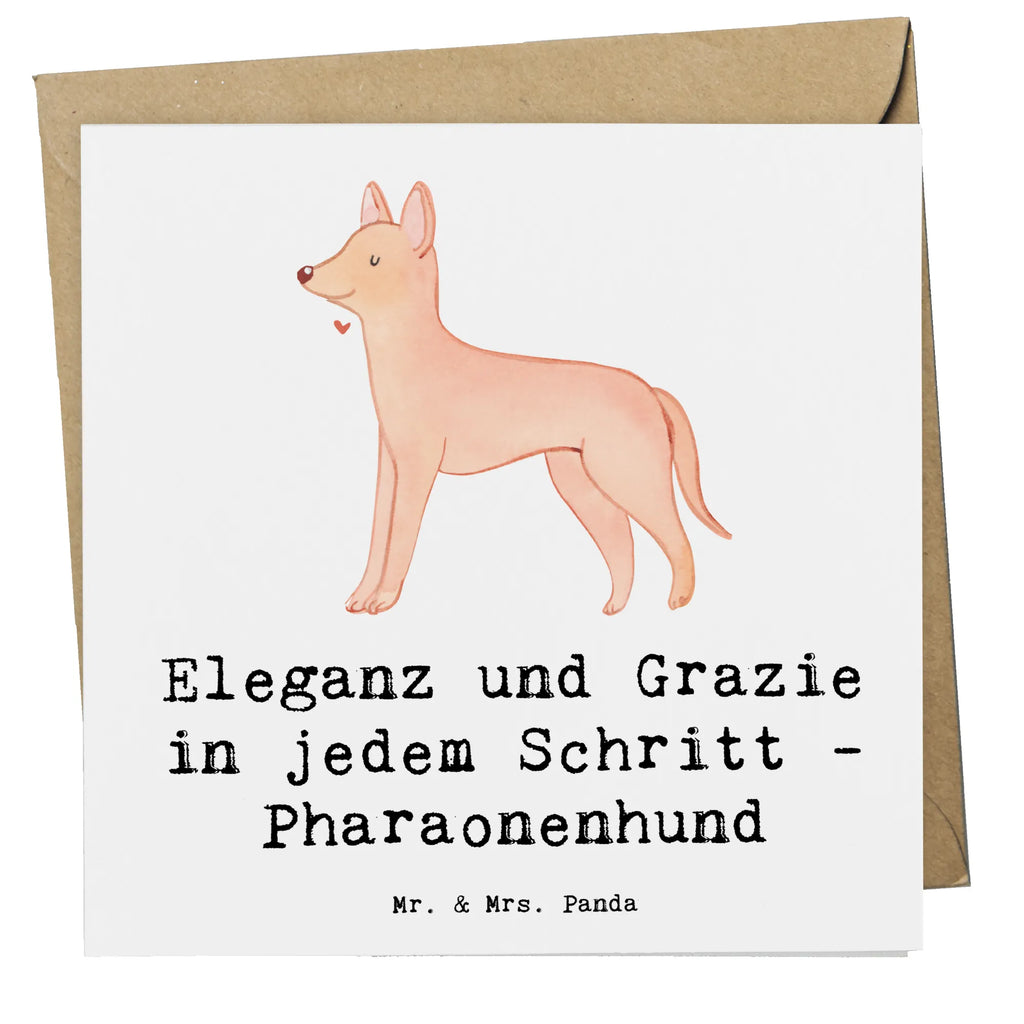 Deluxe Karte Eleganter Pharaonenhund Karte, Grußkarte, Klappkarte, Einladungskarte, Glückwunschkarte, Hochzeitskarte, Geburtstagskarte, Hochwertige Grußkarte, Hochwertige Klappkarte, Hund, Hunderasse, Rassehund, Hundebesitzer, Geschenk, Tierfreund, Schenken, Welpe