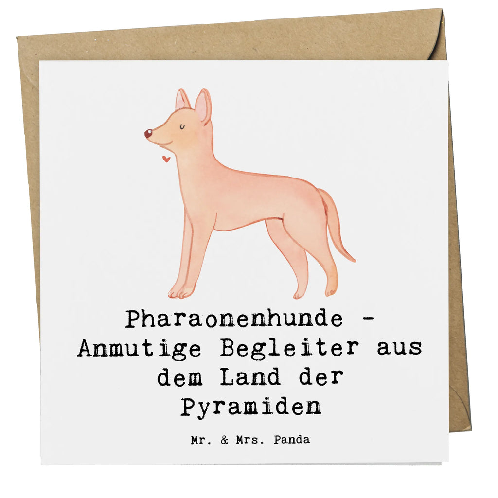 Deluxe Karte Pharaonenhund Freunde Karte, Grußkarte, Klappkarte, Einladungskarte, Glückwunschkarte, Hochzeitskarte, Geburtstagskarte, Hochwertige Grußkarte, Hochwertige Klappkarte, Hund, Hunderasse, Rassehund, Hundebesitzer, Geschenk, Tierfreund, Schenken, Welpe