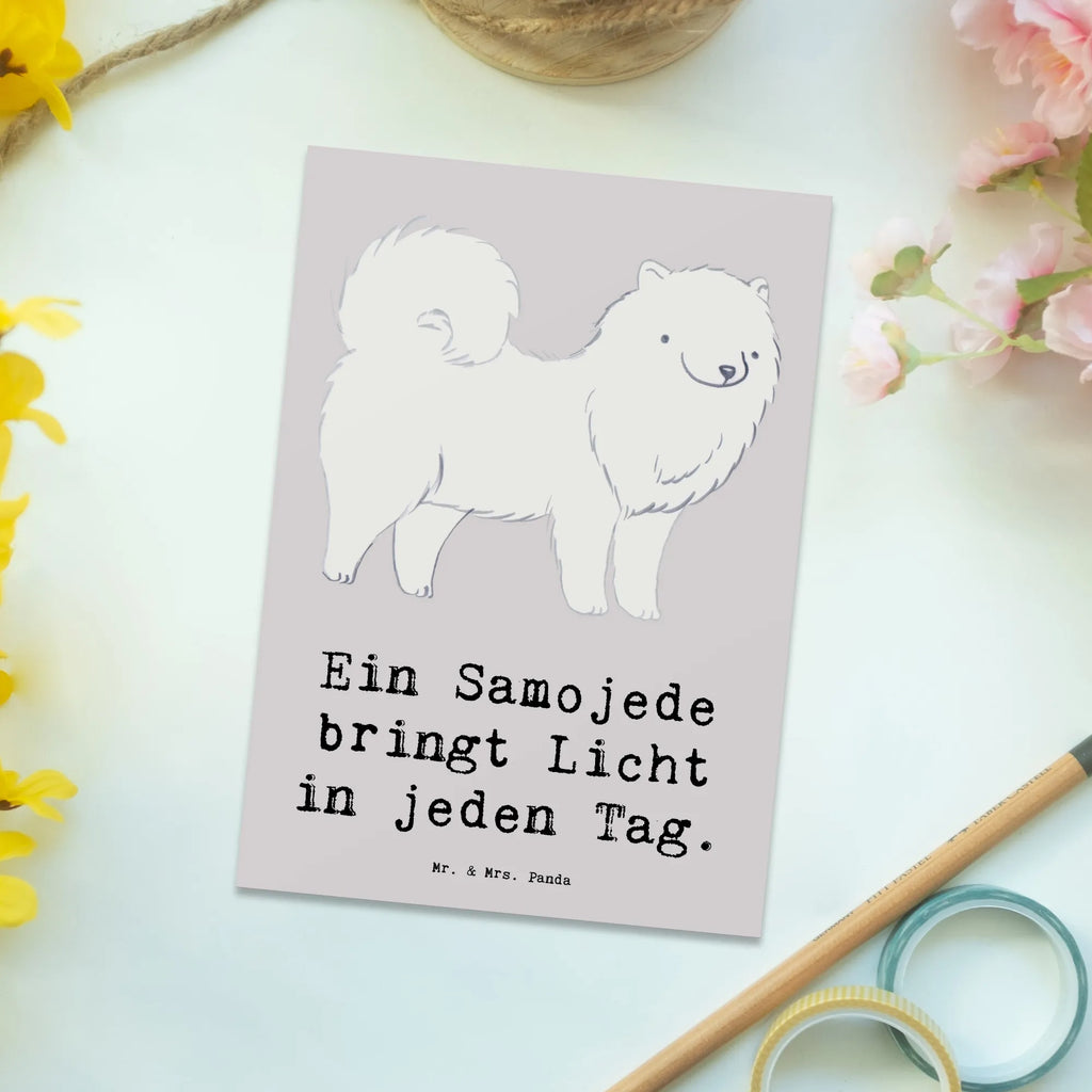 Postkarte Samojede Licht Postkarte, Karte, Geschenkkarte, Grußkarte, Einladung, Ansichtskarte, Geburtstagskarte, Einladungskarte, Dankeskarte, Ansichtskarten, Einladung Geburtstag, Einladungskarten Geburtstag, Hund, Hunderasse, Rassehund, Hundebesitzer, Geschenk, Tierfreund, Schenken, Welpe