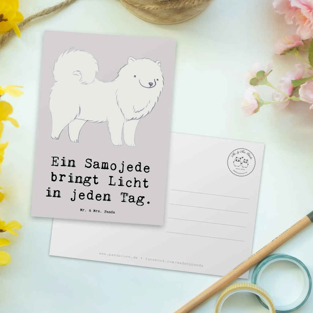 Postkarte Samojede Licht Postkarte, Karte, Geschenkkarte, Grußkarte, Einladung, Ansichtskarte, Geburtstagskarte, Einladungskarte, Dankeskarte, Ansichtskarten, Einladung Geburtstag, Einladungskarten Geburtstag, Hund, Hunderasse, Rassehund, Hundebesitzer, Geschenk, Tierfreund, Schenken, Welpe