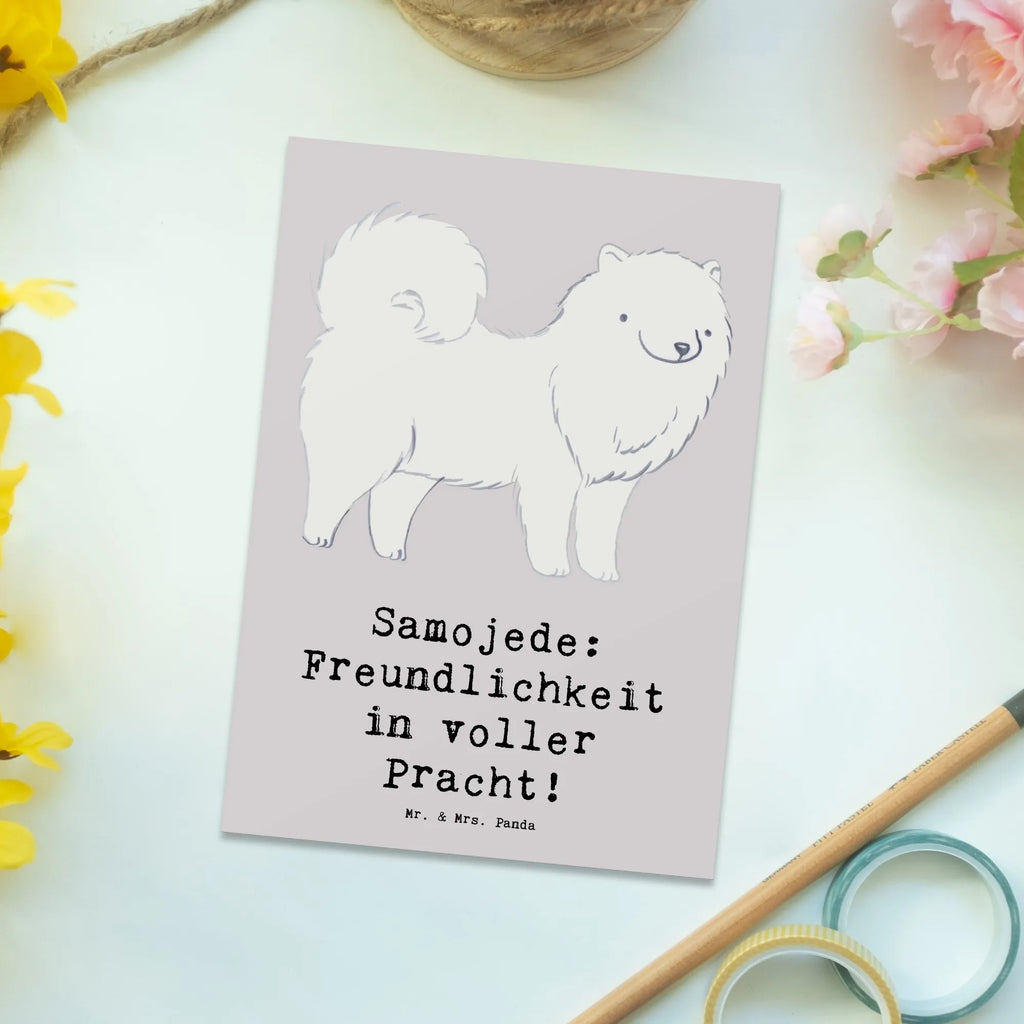 Postkarte Samojede Freundlichkeit Postkarte, Karte, Geschenkkarte, Grußkarte, Einladung, Ansichtskarte, Geburtstagskarte, Einladungskarte, Dankeskarte, Ansichtskarten, Einladung Geburtstag, Einladungskarten Geburtstag, Hund, Hunderasse, Rassehund, Hundebesitzer, Geschenk, Tierfreund, Schenken, Welpe