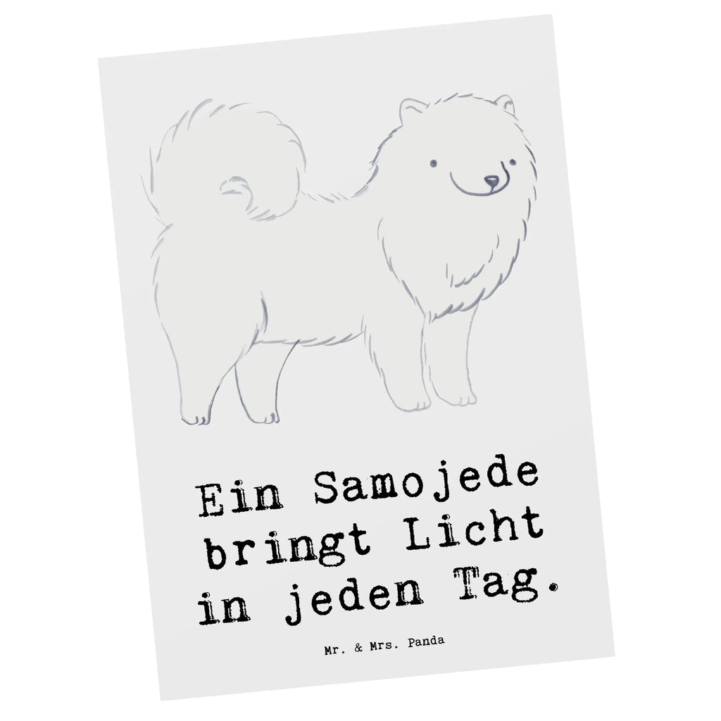 Postkarte Samojede Licht Postkarte, Karte, Geschenkkarte, Grußkarte, Einladung, Ansichtskarte, Geburtstagskarte, Einladungskarte, Dankeskarte, Ansichtskarten, Einladung Geburtstag, Einladungskarten Geburtstag, Hund, Hunderasse, Rassehund, Hundebesitzer, Geschenk, Tierfreund, Schenken, Welpe