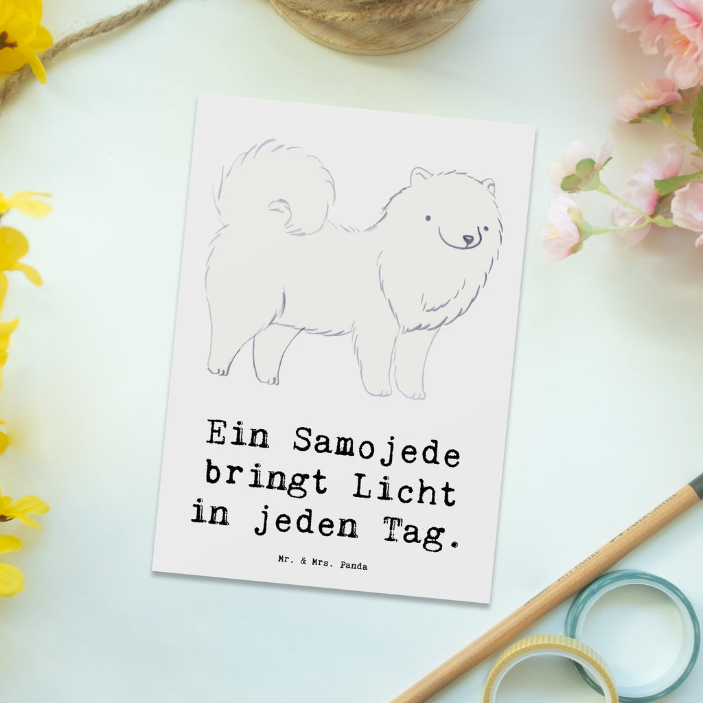 Postkarte Samojede Licht Postkarte, Karte, Geschenkkarte, Grußkarte, Einladung, Ansichtskarte, Geburtstagskarte, Einladungskarte, Dankeskarte, Ansichtskarten, Einladung Geburtstag, Einladungskarten Geburtstag, Hund, Hunderasse, Rassehund, Hundebesitzer, Geschenk, Tierfreund, Schenken, Welpe