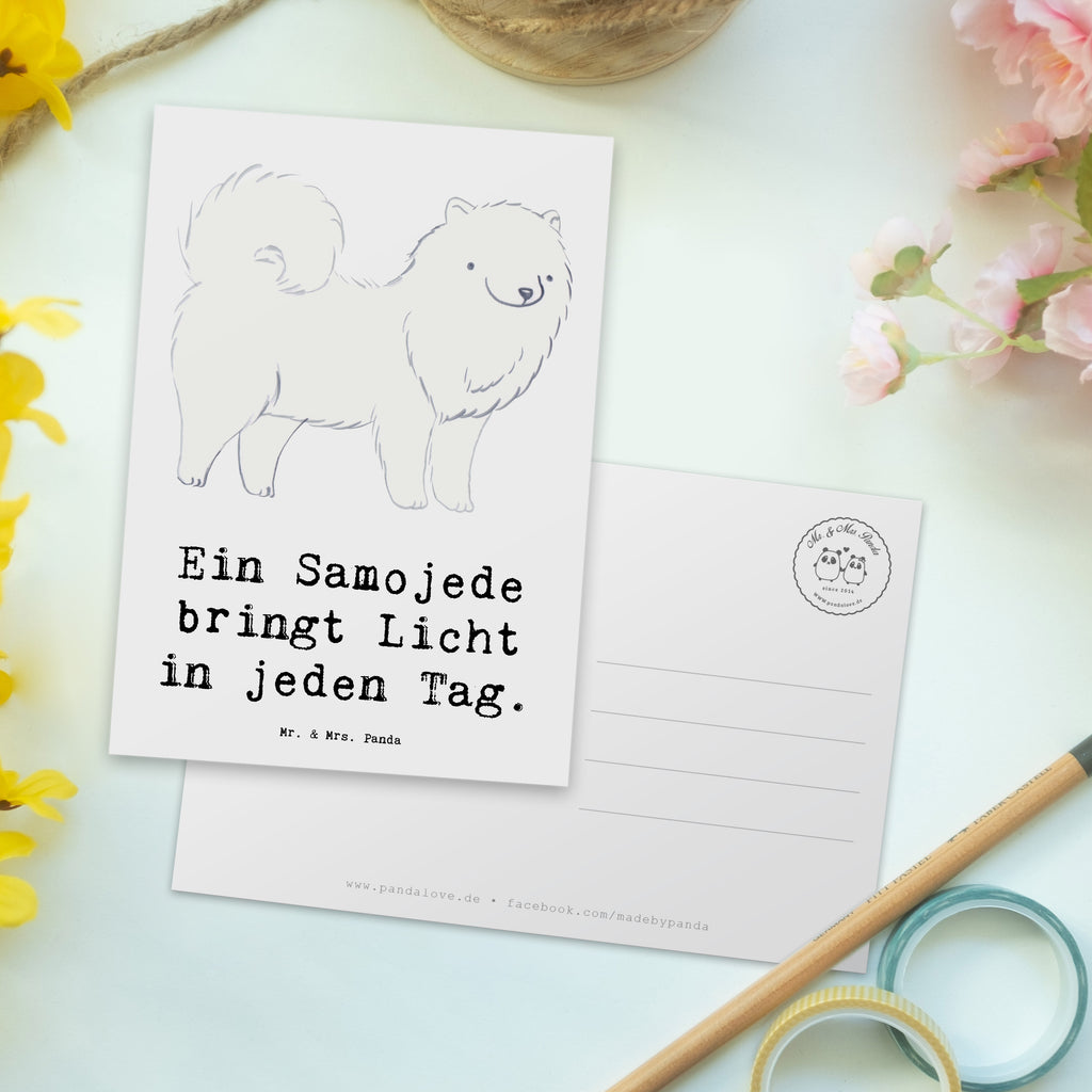 Postkarte Samojede Licht Postkarte, Karte, Geschenkkarte, Grußkarte, Einladung, Ansichtskarte, Geburtstagskarte, Einladungskarte, Dankeskarte, Ansichtskarten, Einladung Geburtstag, Einladungskarten Geburtstag, Hund, Hunderasse, Rassehund, Hundebesitzer, Geschenk, Tierfreund, Schenken, Welpe