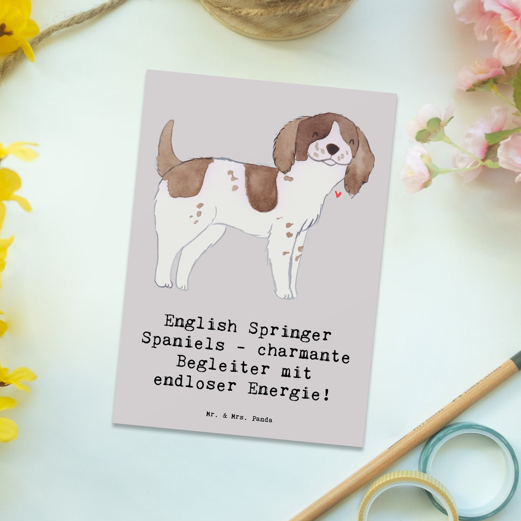 Postkarte English Springer Spaniel Charme Postkarte, Karte, Geschenkkarte, Grußkarte, Einladung, Ansichtskarte, Geburtstagskarte, Einladungskarte, Dankeskarte, Ansichtskarten, Einladung Geburtstag, Einladungskarten Geburtstag, Hund, Hunderasse, Rassehund, Hundebesitzer, Geschenk, Tierfreund, Schenken, Welpe