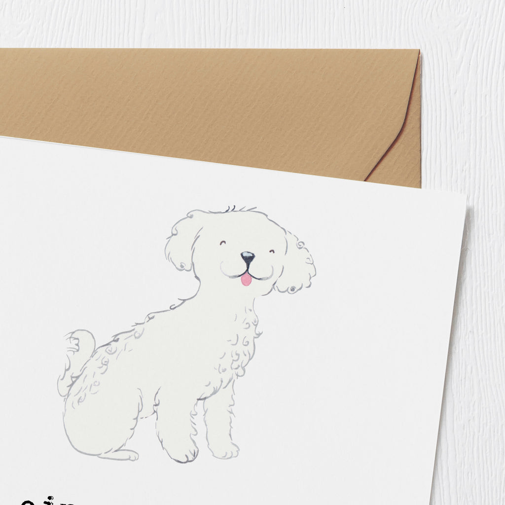 Deluxe Karte Bichon Frisé Freude Karte, Grußkarte, Klappkarte, Einladungskarte, Glückwunschkarte, Hochzeitskarte, Geburtstagskarte, Hochwertige Grußkarte, Hochwertige Klappkarte, Hund, Hunderasse, Rassehund, Hundebesitzer, Geschenk, Tierfreund, Schenken, Welpe