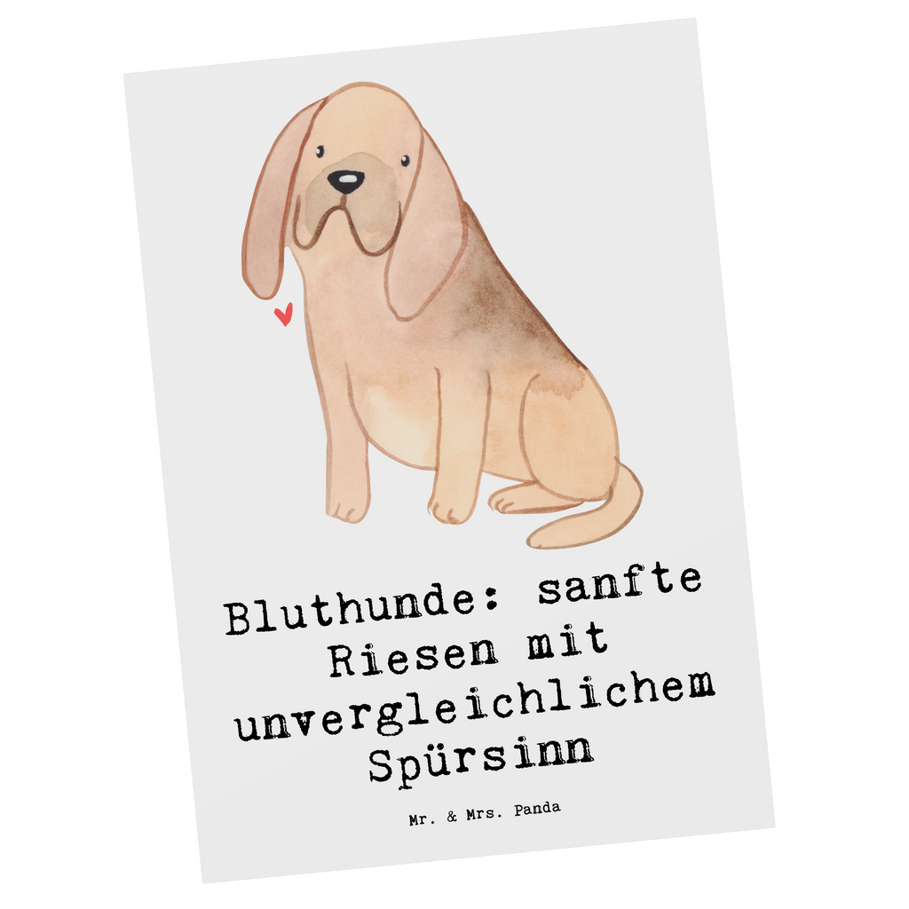 Postkarte Bluthunde Postkarte, Karte, Geschenkkarte, Grußkarte, Einladung, Ansichtskarte, Geburtstagskarte, Einladungskarte, Dankeskarte, Ansichtskarten, Einladung Geburtstag, Einladungskarten Geburtstag, Hund, Hunderasse, Rassehund, Hundebesitzer, Geschenk, Tierfreund, Schenken, Welpe