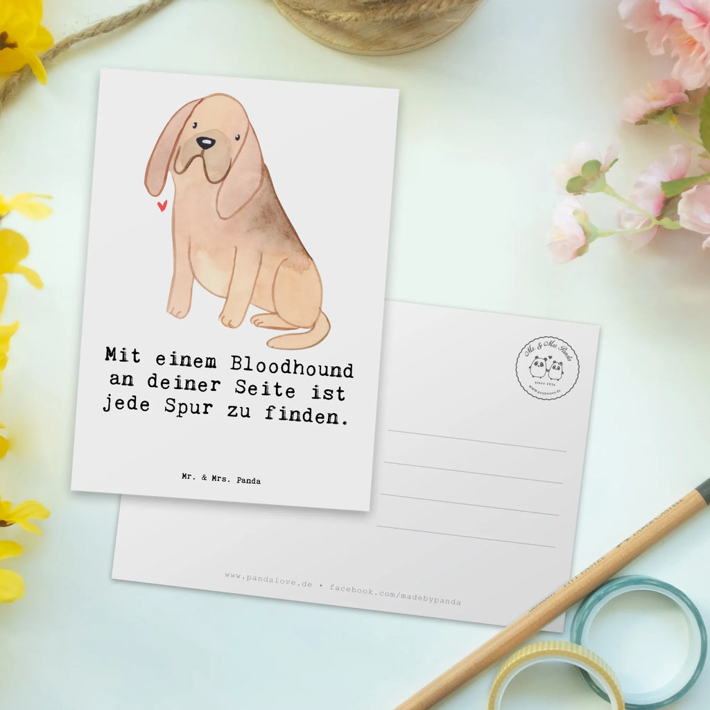 Postkarte Bloodhound Spur Postkarte, Karte, Geschenkkarte, Grußkarte, Einladung, Ansichtskarte, Geburtstagskarte, Einladungskarte, Dankeskarte, Ansichtskarten, Einladung Geburtstag, Einladungskarten Geburtstag, Hund, Hunderasse, Rassehund, Hundebesitzer, Geschenk, Tierfreund, Schenken, Welpe