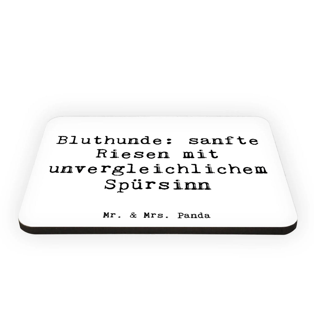 Magnet Spruch Bluthunde Kühlschrankmagnet, Pinnwandmagnet, Souvenir Magnet, Motivmagnete, Dekomagnet, Whiteboard Magnet, Notiz Magnet, Kühlschrank Dekoration, Hund, Hunderasse, Rassehund, Hundebesitzer, Geschenk, Tierfreund, Schenken, Welpe