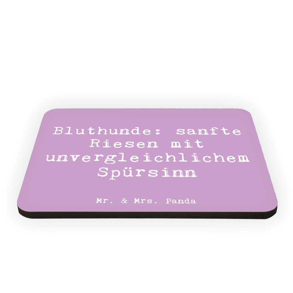 Magnet Spruch Bluthunde Kühlschrankmagnet, Pinnwandmagnet, Souvenir Magnet, Motivmagnete, Dekomagnet, Whiteboard Magnet, Notiz Magnet, Kühlschrank Dekoration, Hund, Hunderasse, Rassehund, Hundebesitzer, Geschenk, Tierfreund, Schenken, Welpe