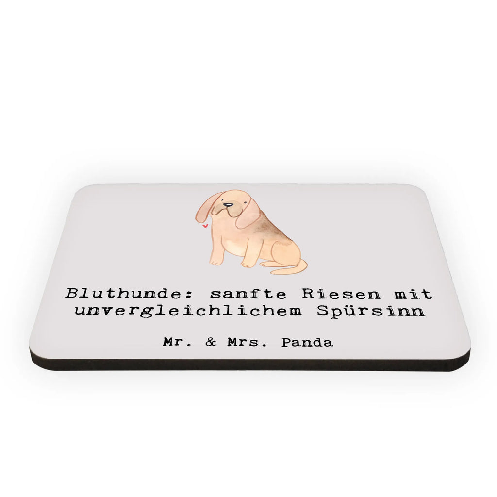 Magnet Bluthunde Kühlschrankmagnet, Pinnwandmagnet, Souvenir Magnet, Motivmagnete, Dekomagnet, Whiteboard Magnet, Notiz Magnet, Kühlschrank Dekoration, Hund, Hunderasse, Rassehund, Hundebesitzer, Geschenk, Tierfreund, Schenken, Welpe