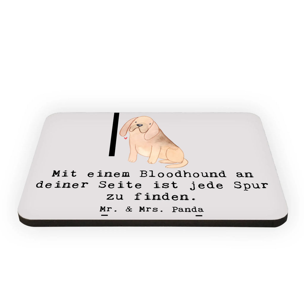 Magnet Bloodhound Spur Kühlschrankmagnet, Pinnwandmagnet, Souvenir Magnet, Motivmagnete, Dekomagnet, Whiteboard Magnet, Notiz Magnet, Kühlschrank Dekoration, Hund, Hunderasse, Rassehund, Hundebesitzer, Geschenk, Tierfreund, Schenken, Welpe