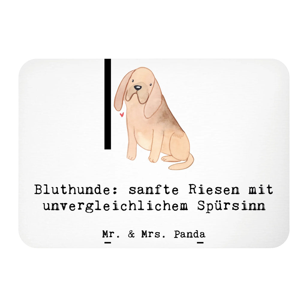 Magnet Bluthunde Kühlschrankmagnet, Pinnwandmagnet, Souvenir Magnet, Motivmagnete, Dekomagnet, Whiteboard Magnet, Notiz Magnet, Kühlschrank Dekoration, Hund, Hunderasse, Rassehund, Hundebesitzer, Geschenk, Tierfreund, Schenken, Welpe