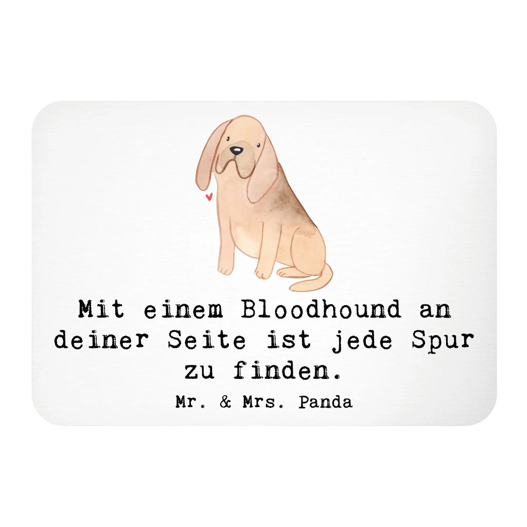 Magnet Bloodhound Spur Kühlschrankmagnet, Pinnwandmagnet, Souvenir Magnet, Motivmagnete, Dekomagnet, Whiteboard Magnet, Notiz Magnet, Kühlschrank Dekoration, Hund, Hunderasse, Rassehund, Hundebesitzer, Geschenk, Tierfreund, Schenken, Welpe