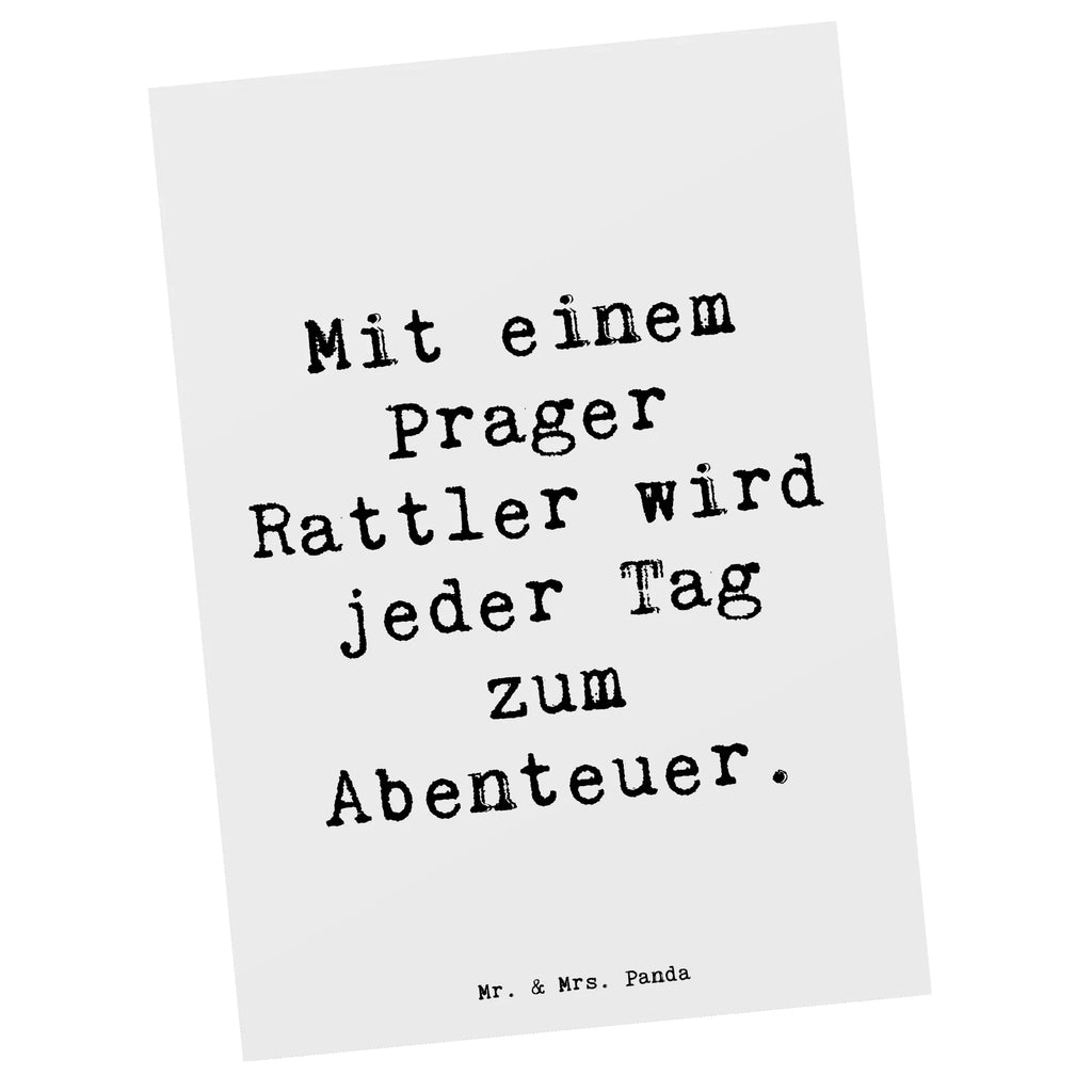 Postkarte Spruch Prager Rattler Abenteuer Postkarte, Karte, Geschenkkarte, Grußkarte, Einladung, Ansichtskarte, Geburtstagskarte, Einladungskarte, Dankeskarte, Ansichtskarten, Einladung Geburtstag, Einladungskarten Geburtstag, Hund, Hunderasse, Rassehund, Hundebesitzer, Geschenk, Tierfreund, Schenken, Welpe