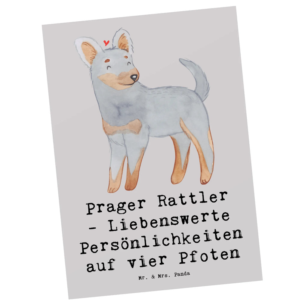 Postkarte Prager Rattler Postkarte, Karte, Geschenkkarte, Grußkarte, Einladung, Ansichtskarte, Geburtstagskarte, Einladungskarte, Dankeskarte, Ansichtskarten, Einladung Geburtstag, Einladungskarten Geburtstag, Hund, Hunderasse, Rassehund, Hundebesitzer, Geschenk, Tierfreund, Schenken, Welpe