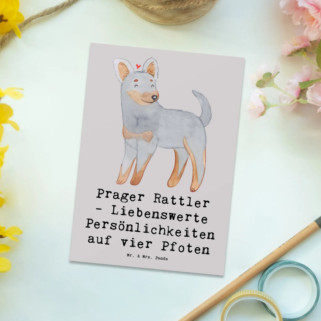 Postkarte Prager Rattler Postkarte, Karte, Geschenkkarte, Grußkarte, Einladung, Ansichtskarte, Geburtstagskarte, Einladungskarte, Dankeskarte, Ansichtskarten, Einladung Geburtstag, Einladungskarten Geburtstag, Hund, Hunderasse, Rassehund, Hundebesitzer, Geschenk, Tierfreund, Schenken, Welpe