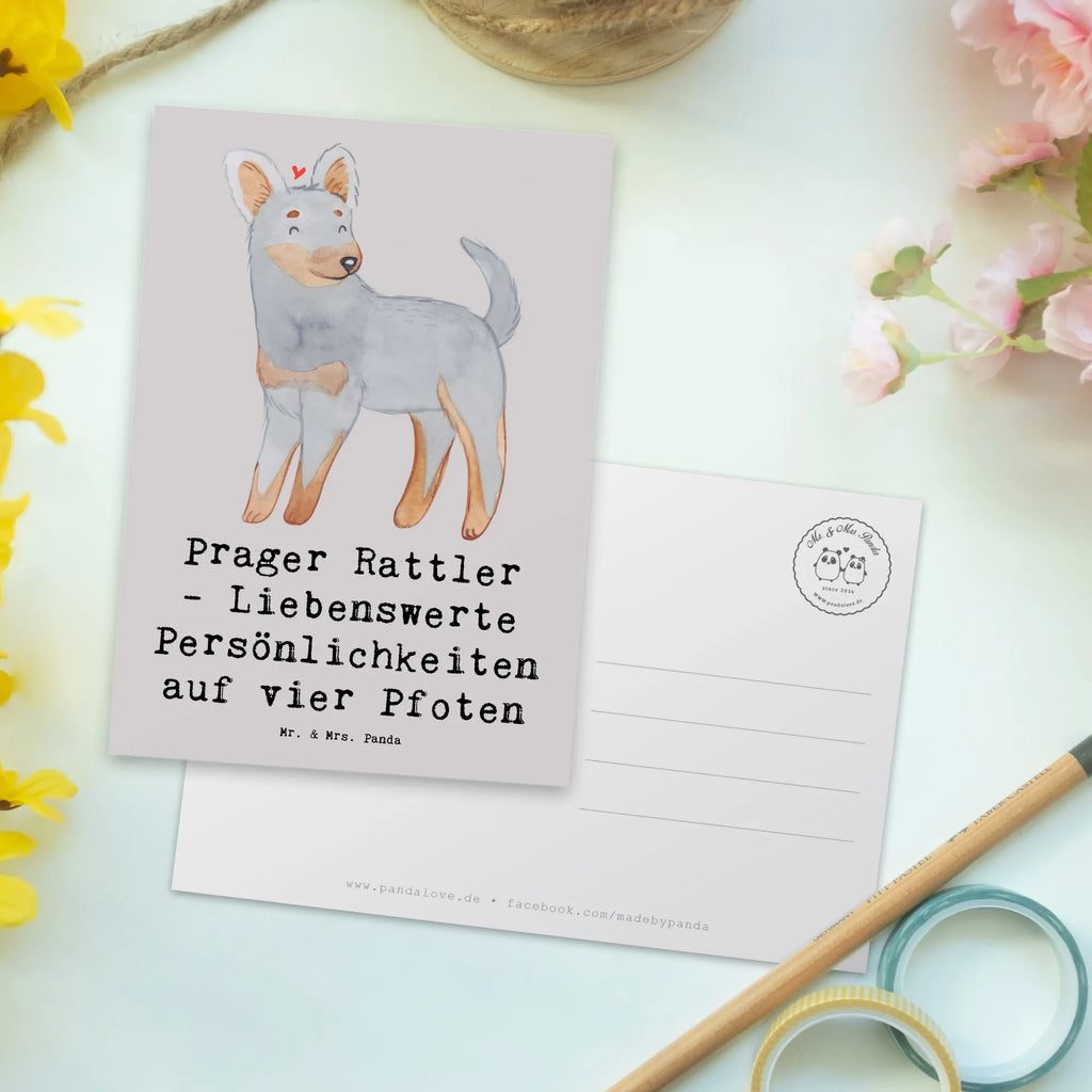 Postkarte Prager Rattler Postkarte, Karte, Geschenkkarte, Grußkarte, Einladung, Ansichtskarte, Geburtstagskarte, Einladungskarte, Dankeskarte, Ansichtskarten, Einladung Geburtstag, Einladungskarten Geburtstag, Hund, Hunderasse, Rassehund, Hundebesitzer, Geschenk, Tierfreund, Schenken, Welpe