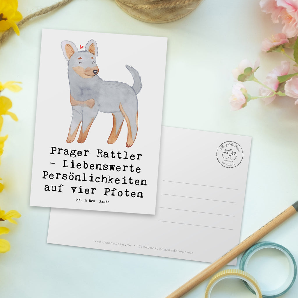 Postkarte Prager Rattler Postkarte, Karte, Geschenkkarte, Grußkarte, Einladung, Ansichtskarte, Geburtstagskarte, Einladungskarte, Dankeskarte, Ansichtskarten, Einladung Geburtstag, Einladungskarten Geburtstag, Hund, Hunderasse, Rassehund, Hundebesitzer, Geschenk, Tierfreund, Schenken, Welpe